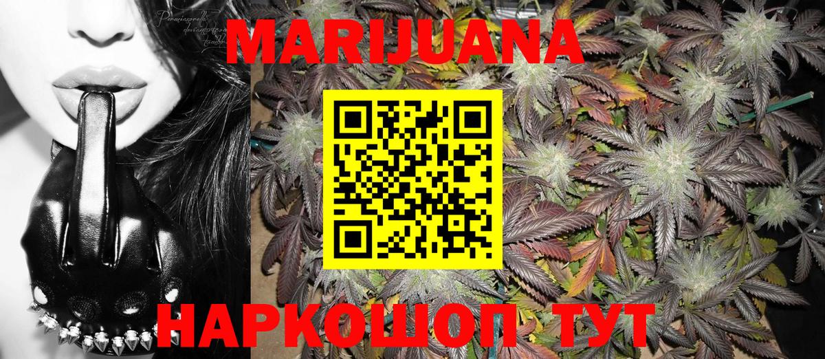 Осинники  Конопля конопля  Канабис планчик  Марихуана сатива  Вход с VPN 